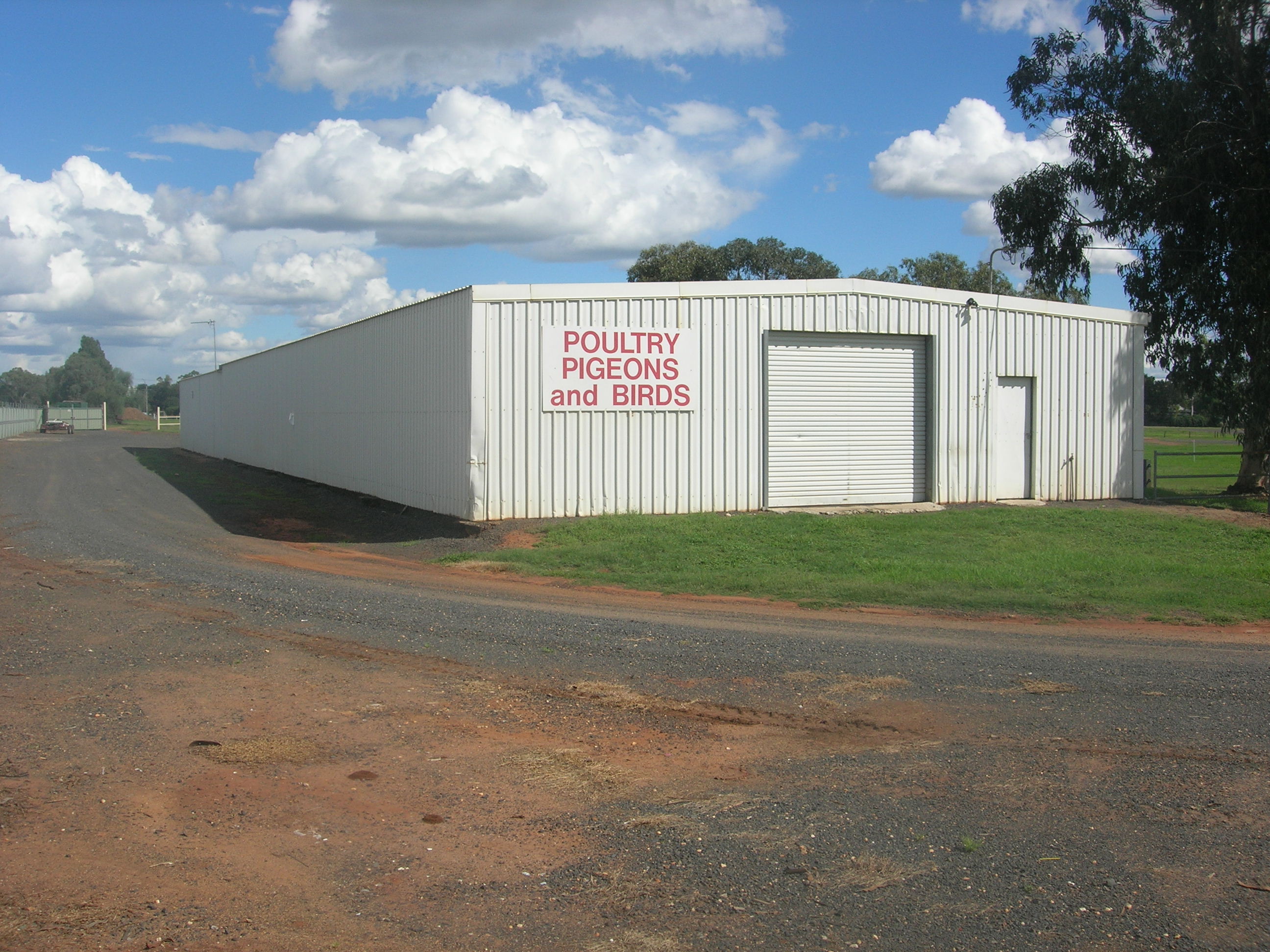 Dubbo Poultry Club Shed
